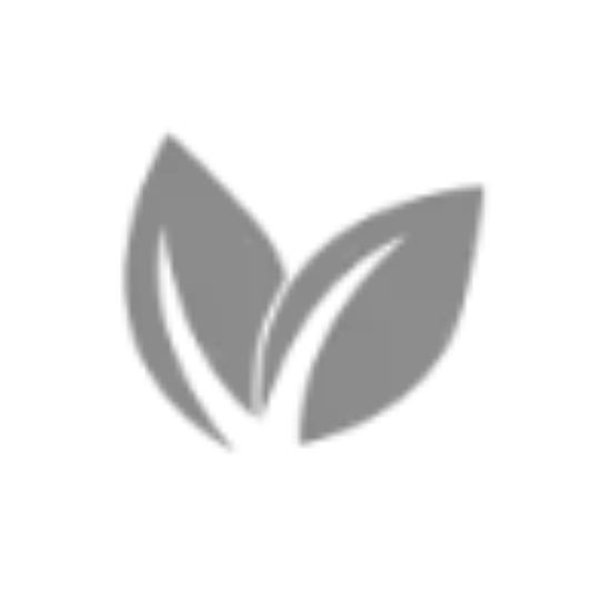 Picture of Vitacare Olive Pickle 500 gm